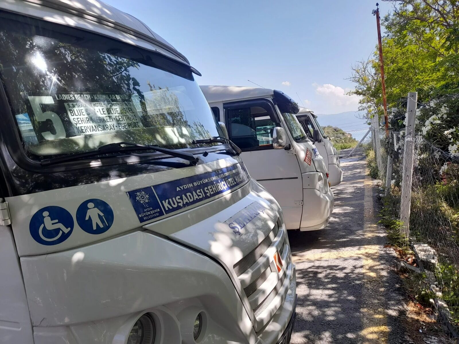 Kuşadası’nda şehir içi ulaşım zamlandı Yeni fiyatlar ne kadar