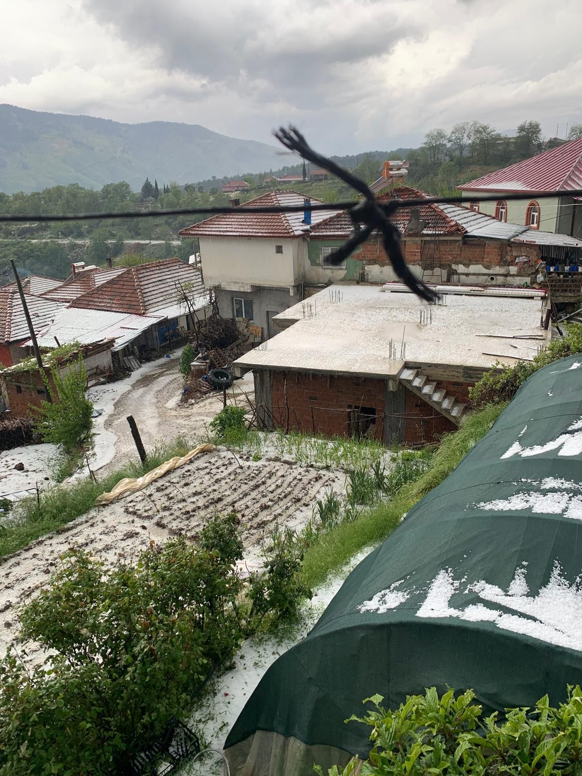 Kuyucak’ı Dolu Vurdu Tarım Ürünleri Zarar Gördü (5)