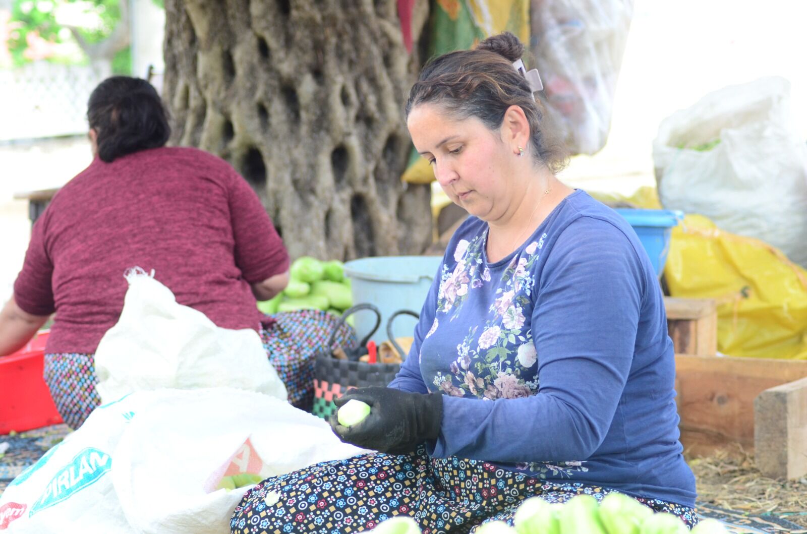 Nazilli’de 70 Yıllık Gelenek Ekonomiye Can Veriyor (3)