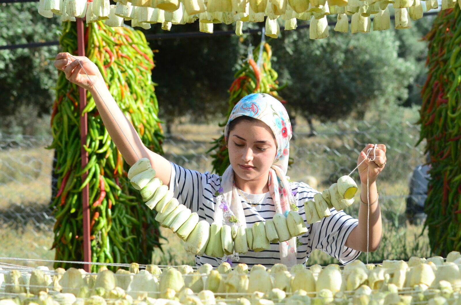 Nazilli’de 70 Yıllık Gelenek Ekonomiye Can Veriyor (6)