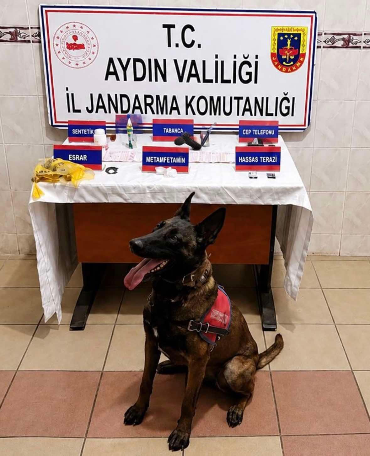 Nazilli’yi Zehirleyen Kadın Tutuklandı (1)