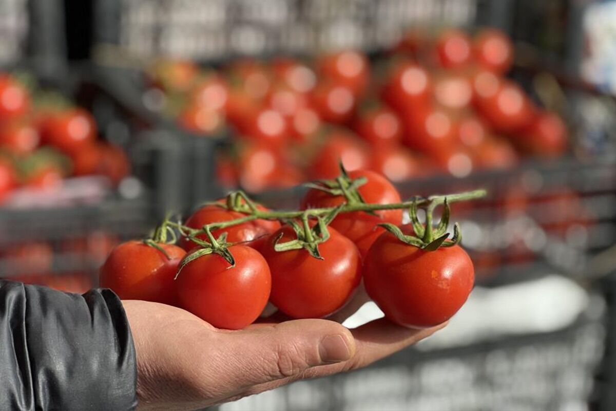 Pestisitli Limon Alarmı! Sınırdan 30 Kat Fazlası Bulundu (3)