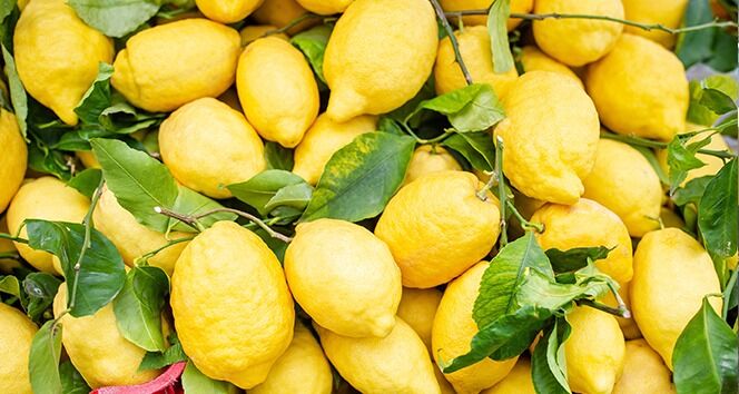 Pestisitli Limon Alarmı! Sınırdan 30 Kat Fazlası Bulundu (4)