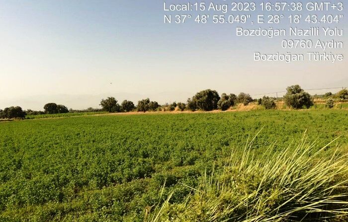 Tartışmalı Jes’in Raporu Halkın Görüşüne Açıldı Köylülerin Sabrını Zorlu’yacaklar! (3)