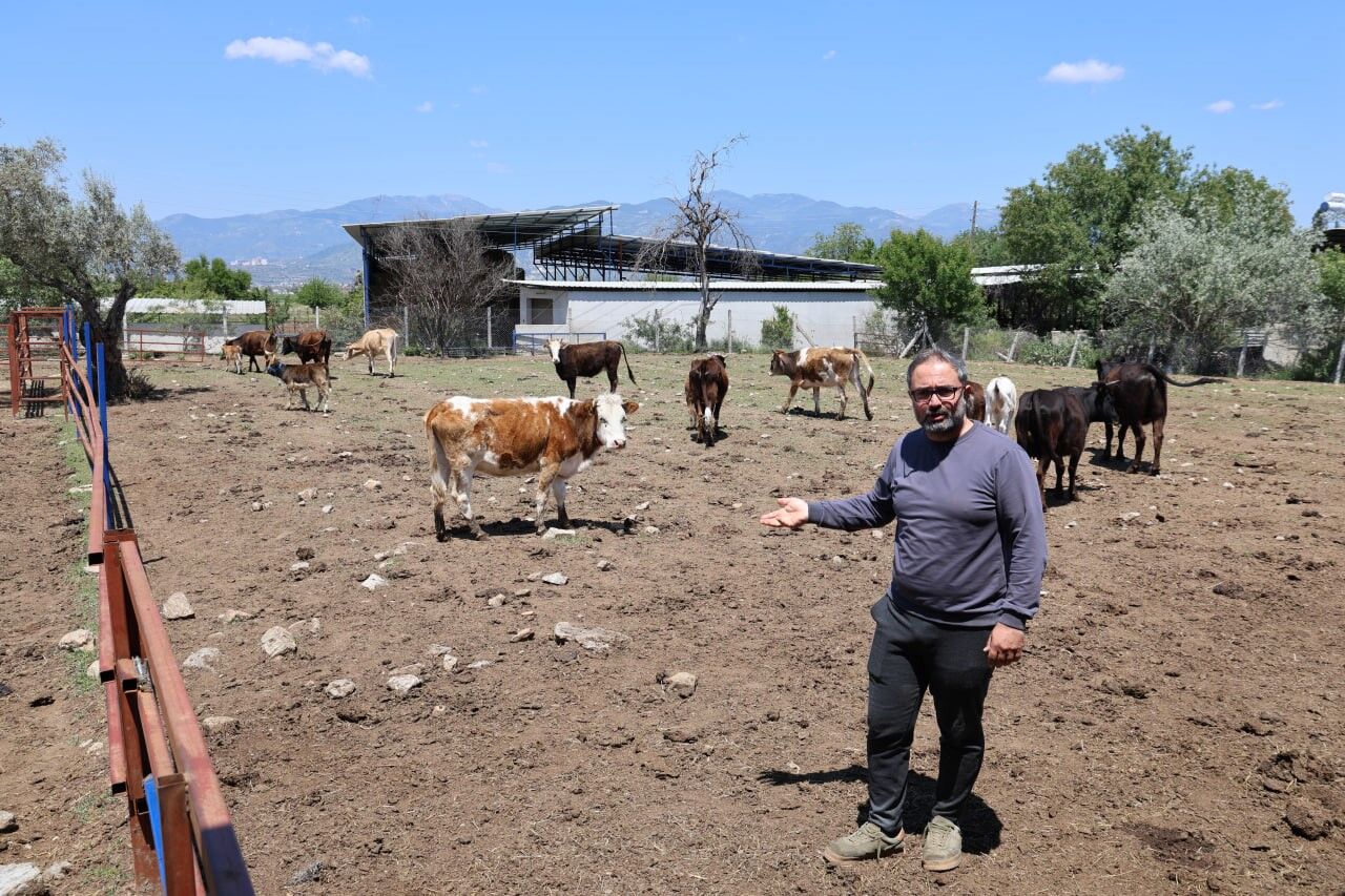 Üretici (5)