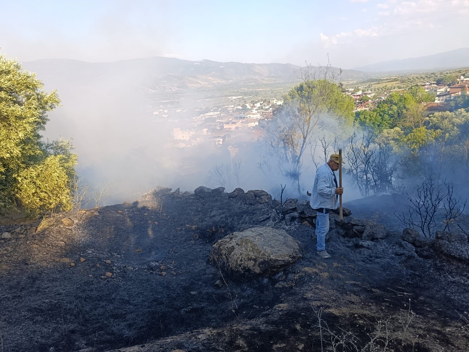 Arazi Yangını (3)