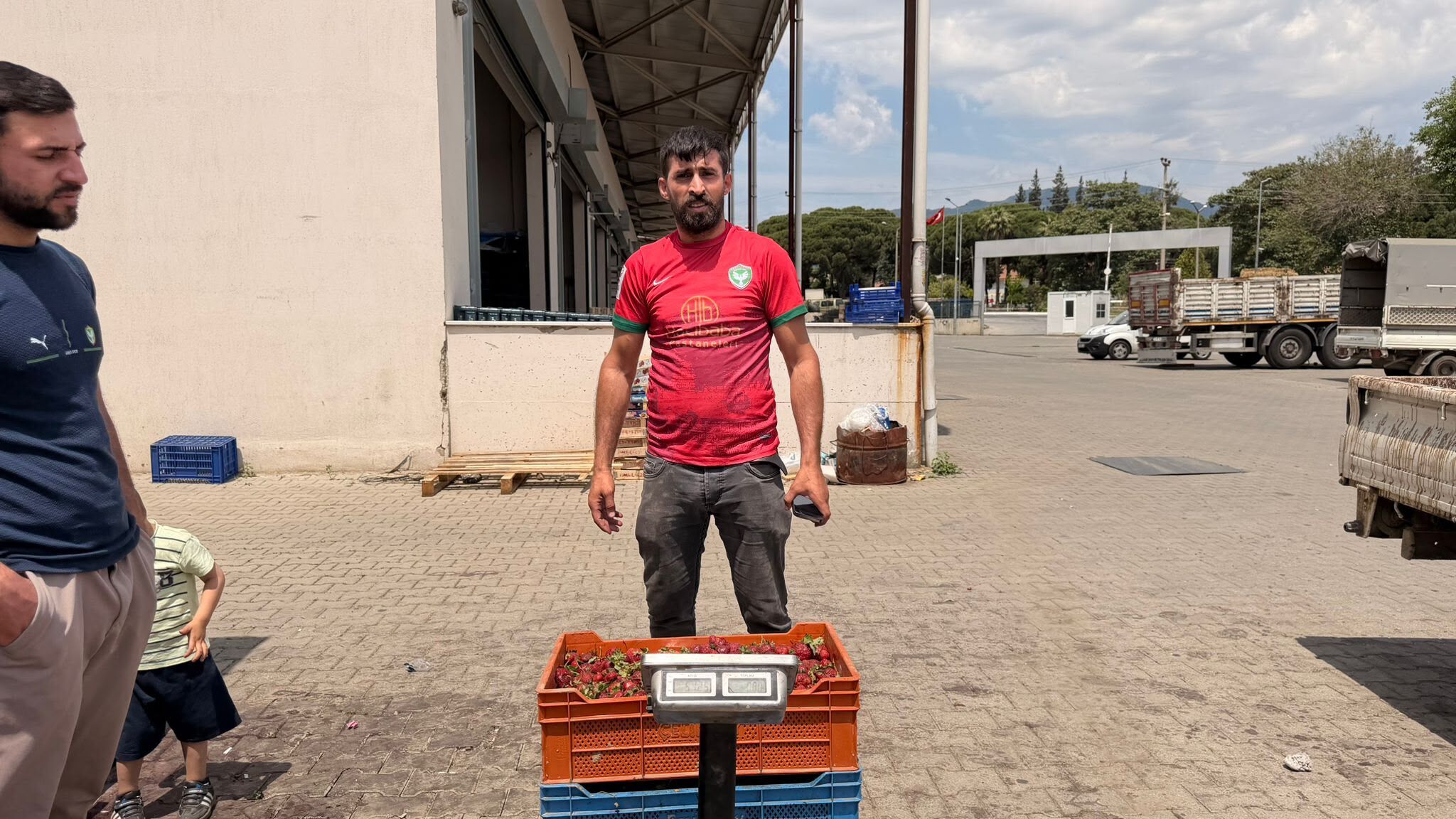 Atça’da Çilek Üreticisi Destek Bekliyor! Ürün Tarlada Kaldı (5)