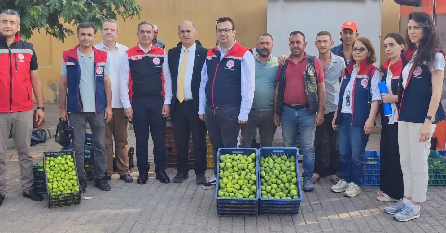 Aydın Incirinde Kalite Alarmı Üreticiye Yakın Takip (1)