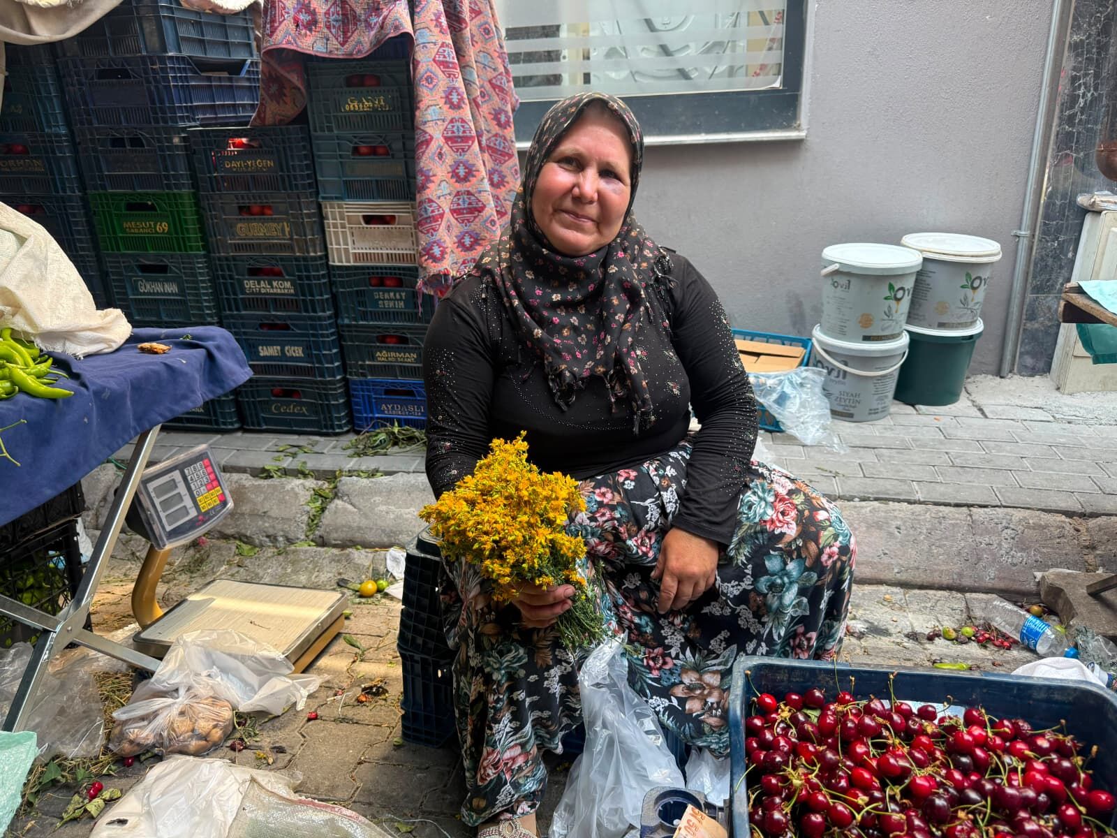 Aydın pazarında şifalı bitki tezgahta yerini aldı