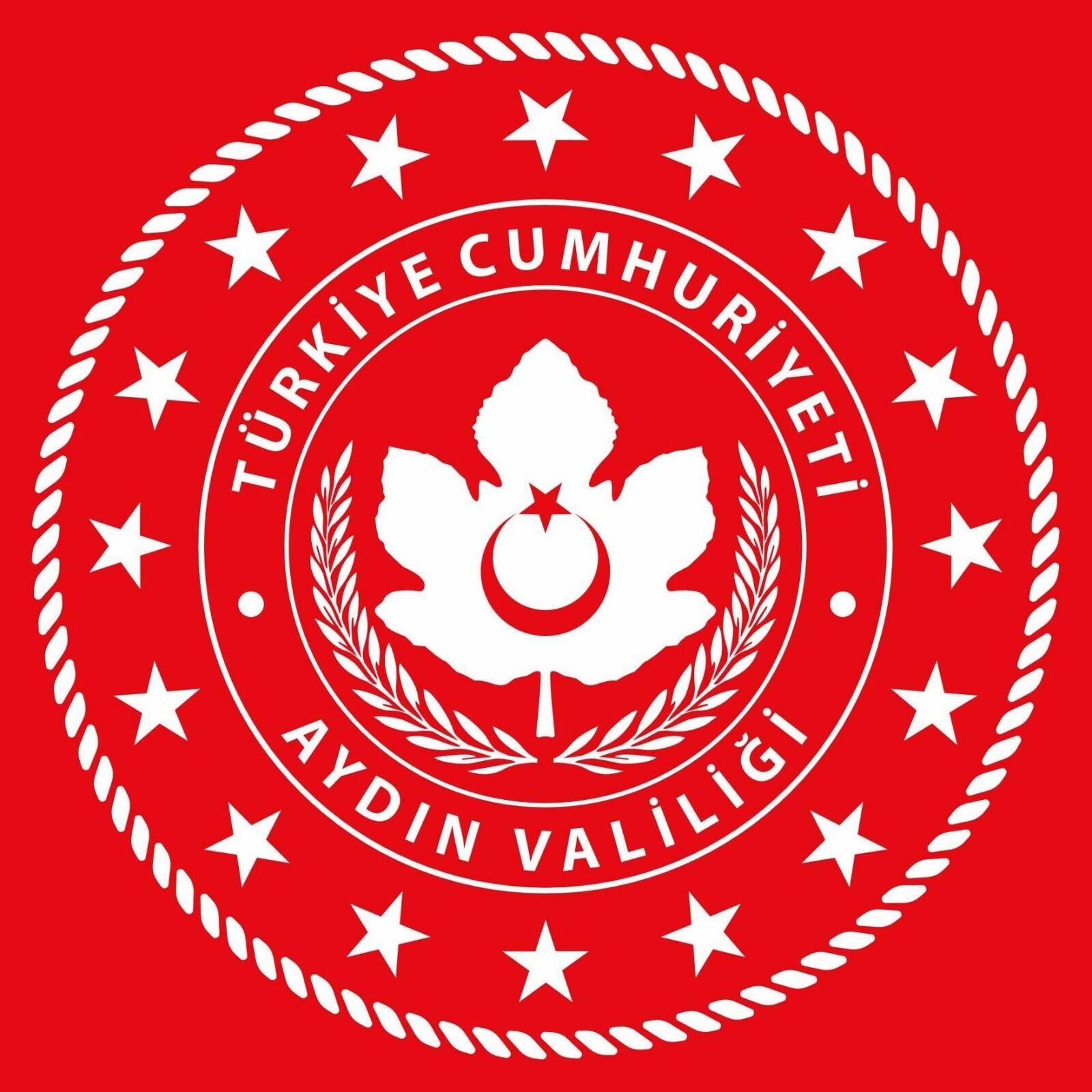 Aydın Valiliği’nden Tartışmalı Kruvaziyerle Ilgili Açıklama “Rahatsızlığa Yol Açan Organizasyon Iptal Edilmiştir” (1)