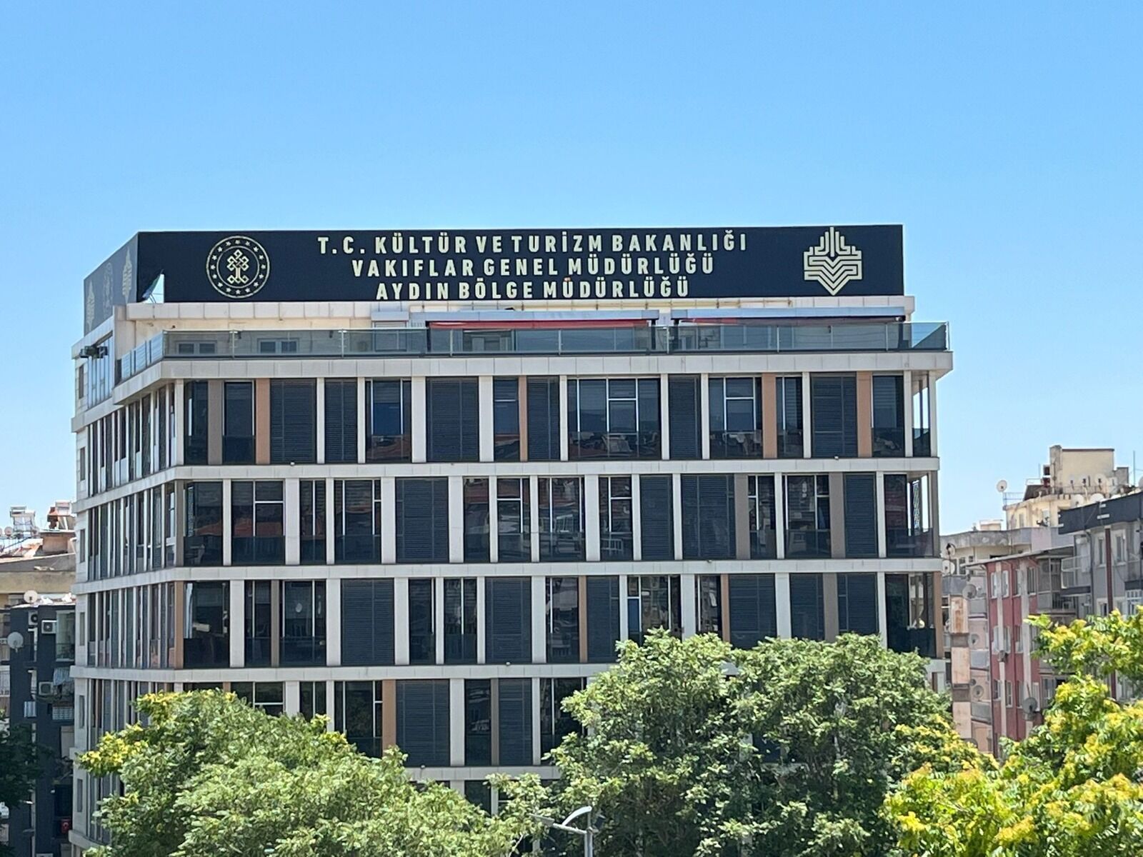 Aydın’da bir damacana sudan ucuza zeytinlik! Görenler fiyatı kontrol etti