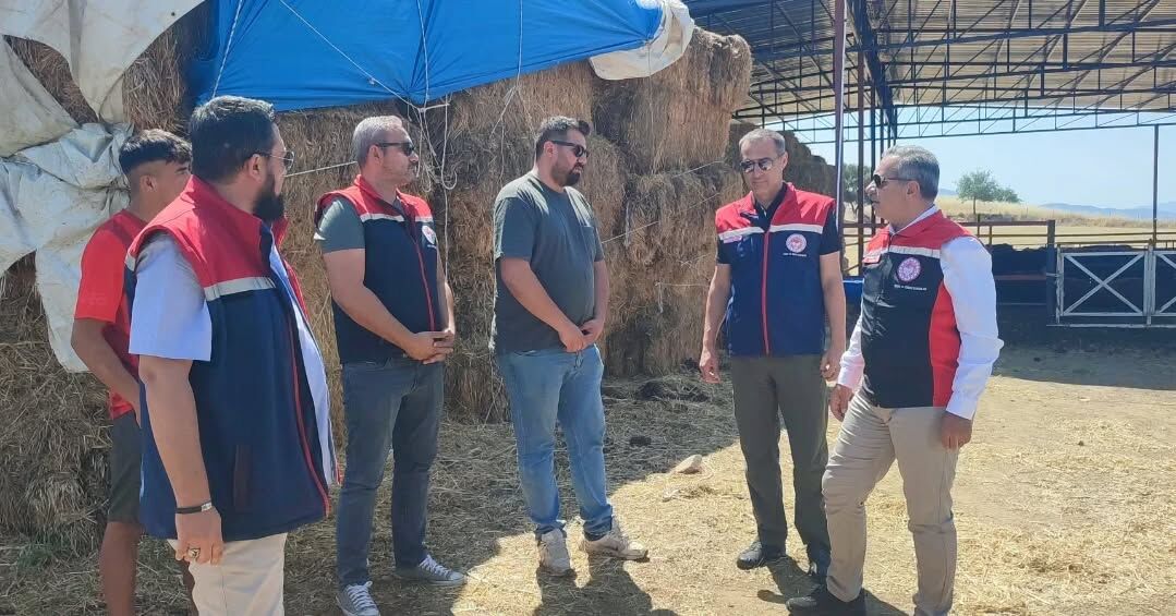 Aydın’da hayvancılığa büyük destek! Üreticilere 53 baş gebe düve teslim edildi