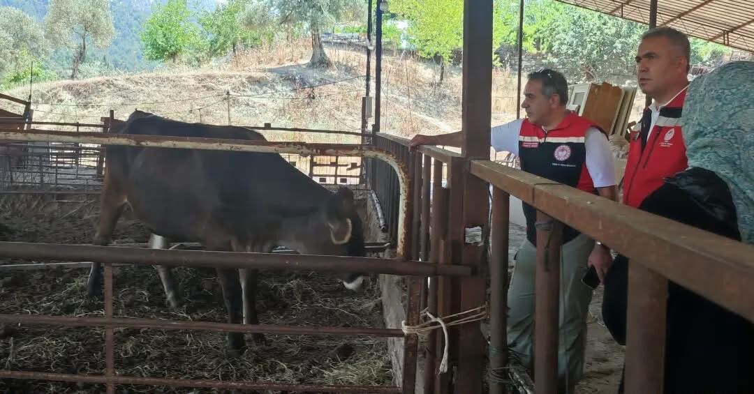 Aydın’da kadın üreticiden ilham veren başarı