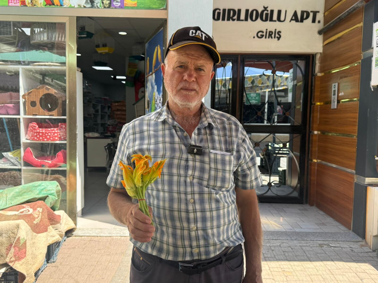 Aydın’da kapış kapış giden çiçek! Sabah 5’te toplanıyor