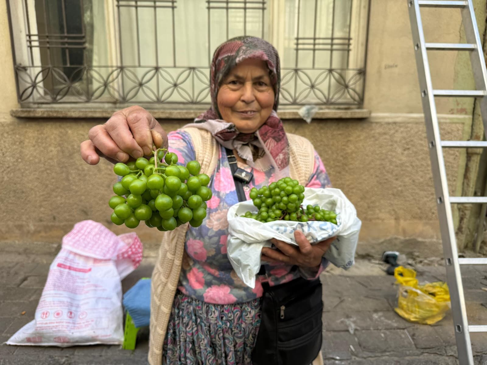 Aydın’da koruk sezonu başladı