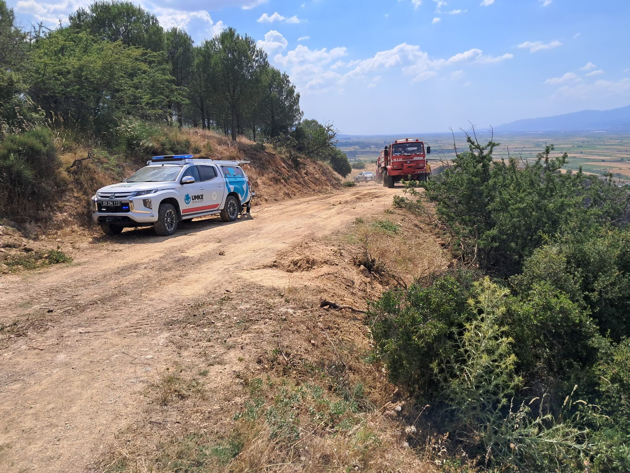 Aydın’da makilik alanda yangın paniği! Ekiplerden hızlı müdahale