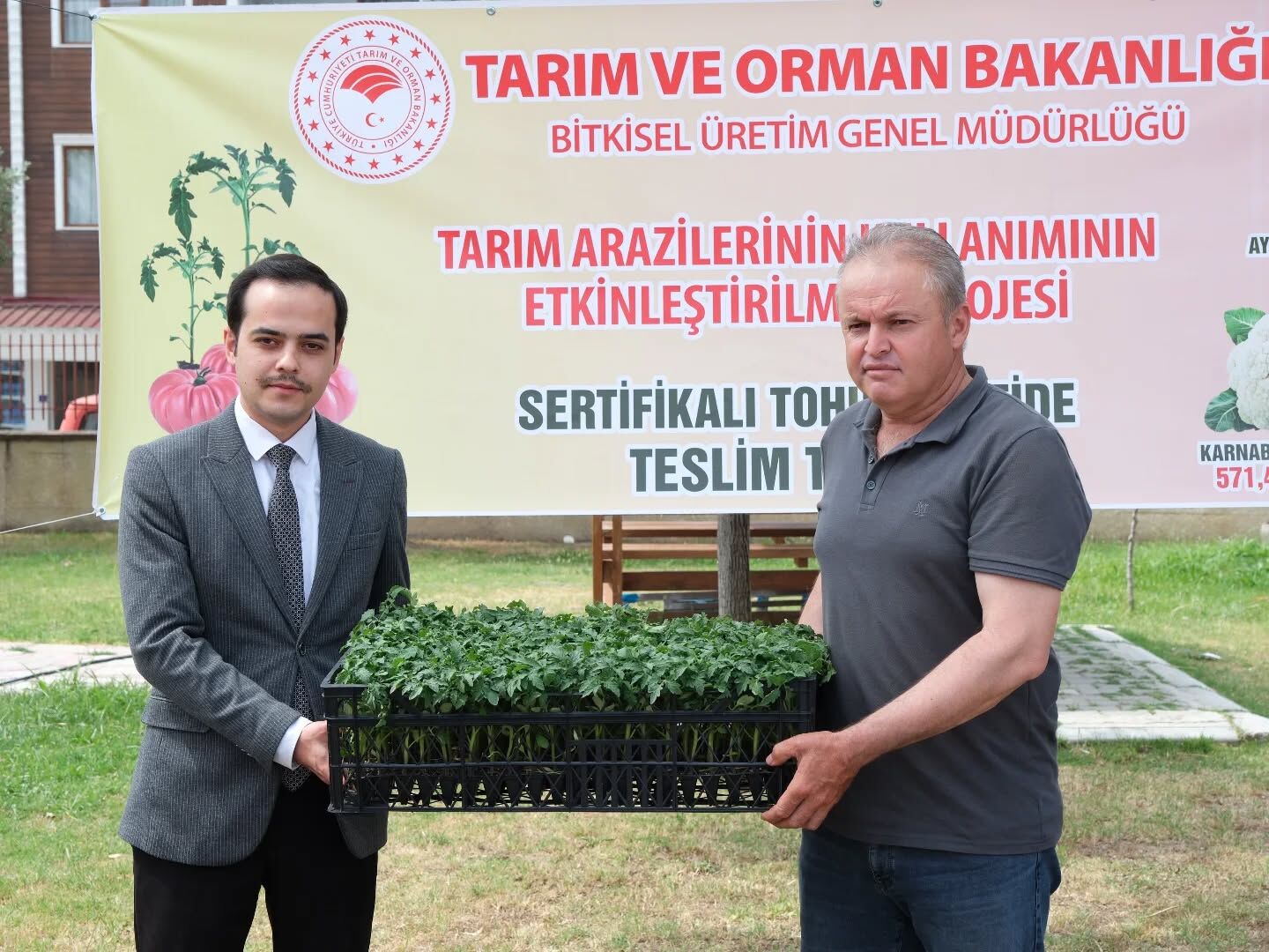 Aydın’da üreticiye dev destek! 38 bin fide dağıtıldı