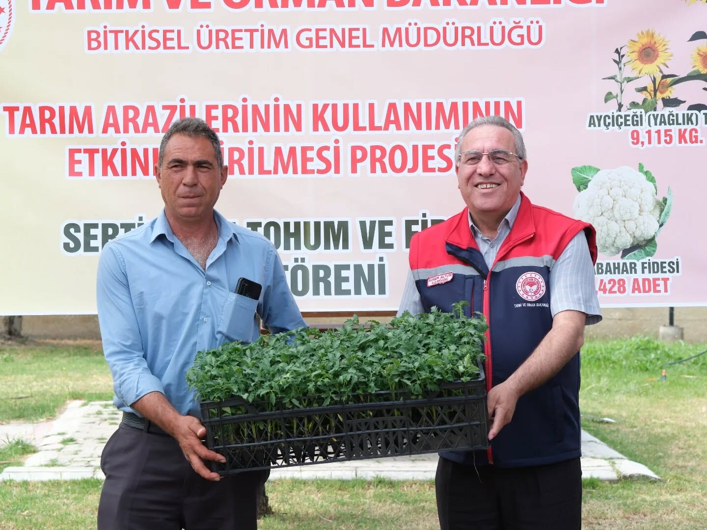 Aydın’da üreticiye dev destek! 38 bin fide dağıtıldı