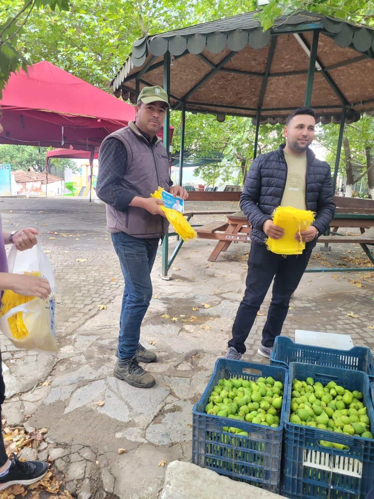 Baskan Zencirci Incir Ureticilerine Ilek Torbasi Dagitti 671318 A3Bae9