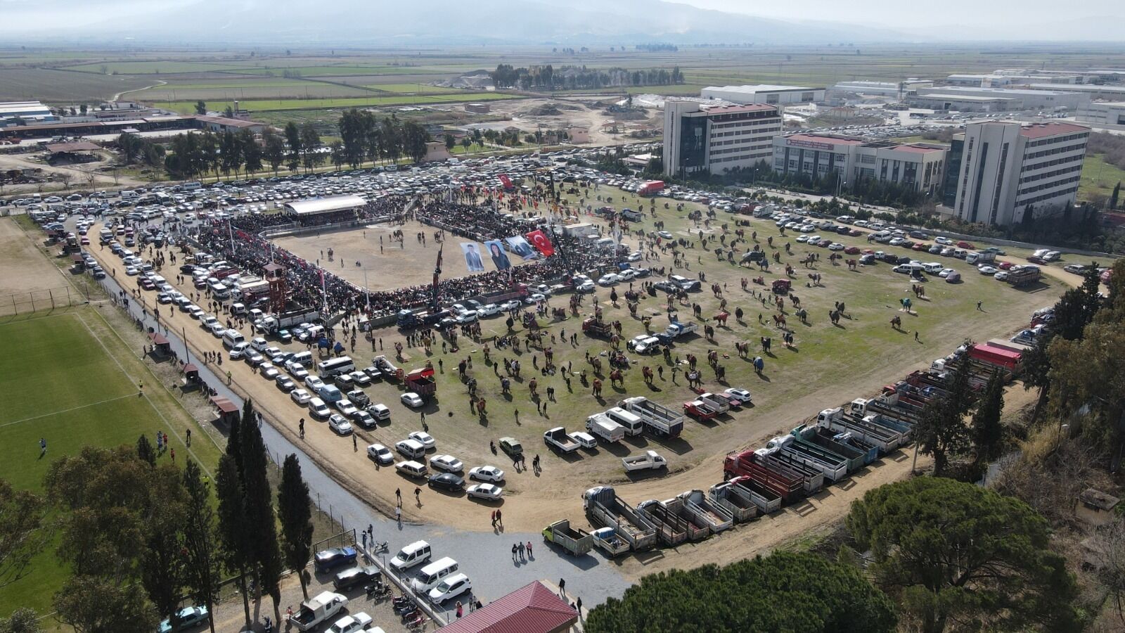 Boğa Güreşi (4)