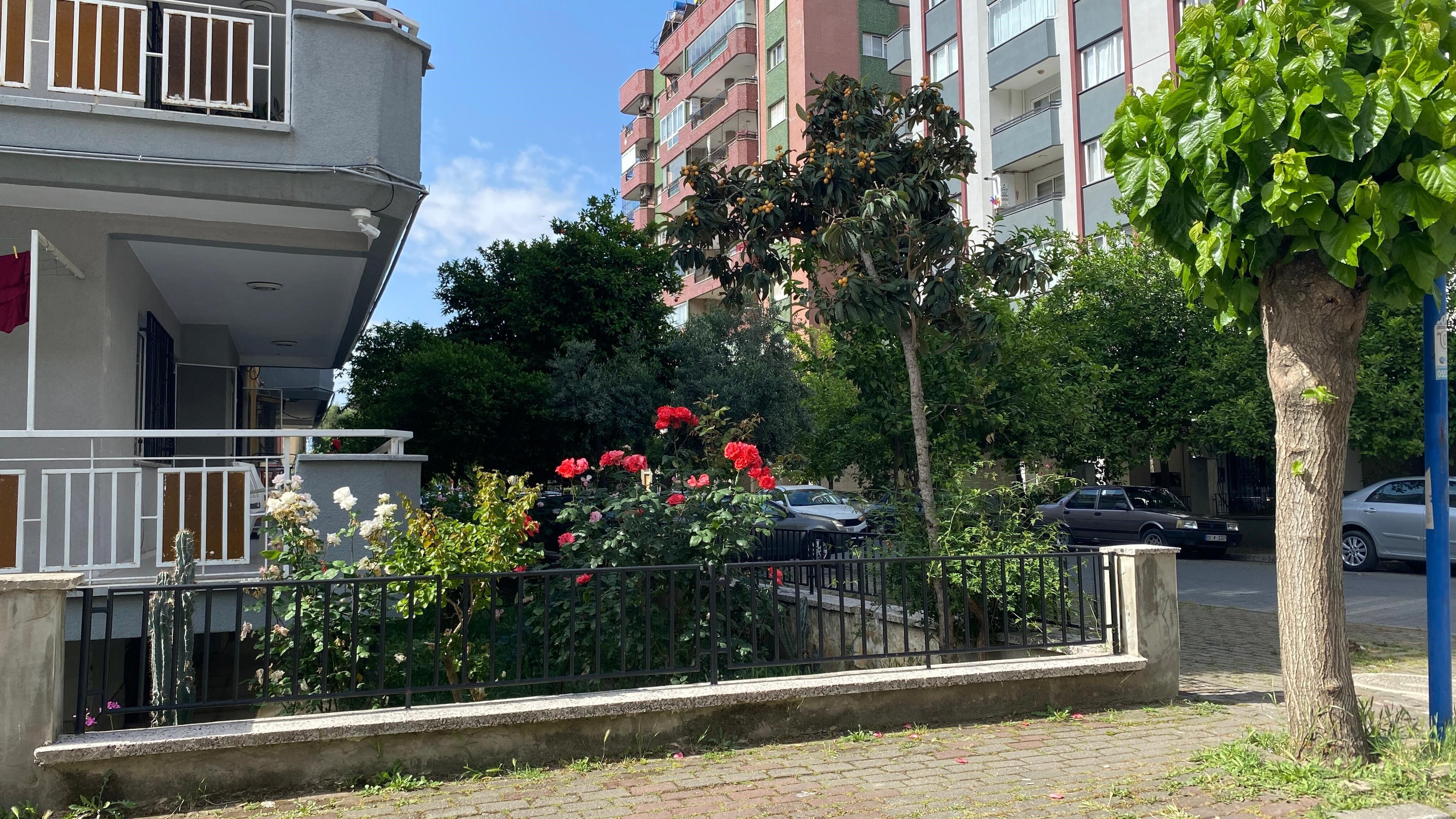 Çi̇çek (5)