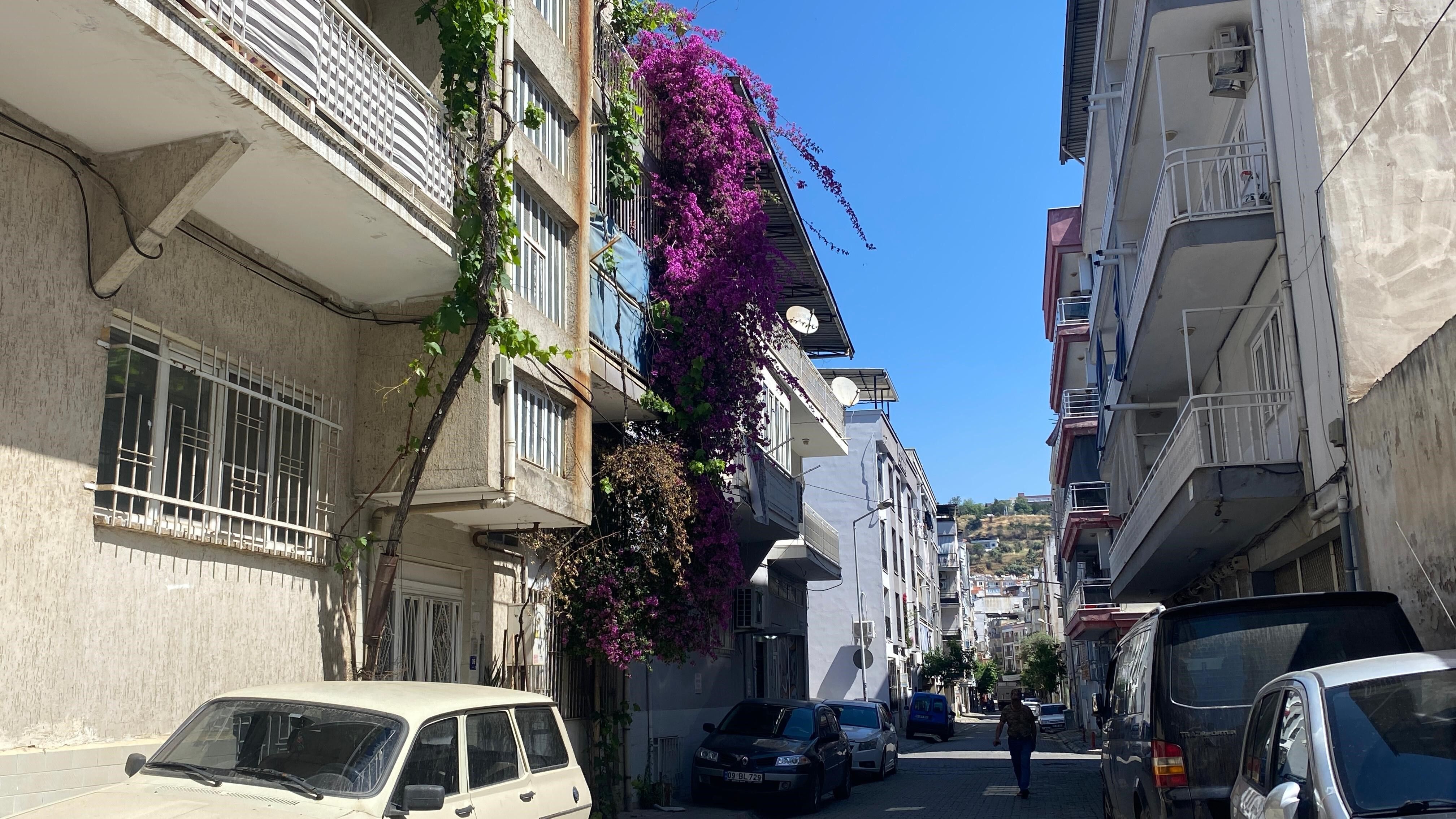 Çi̇çek (6)