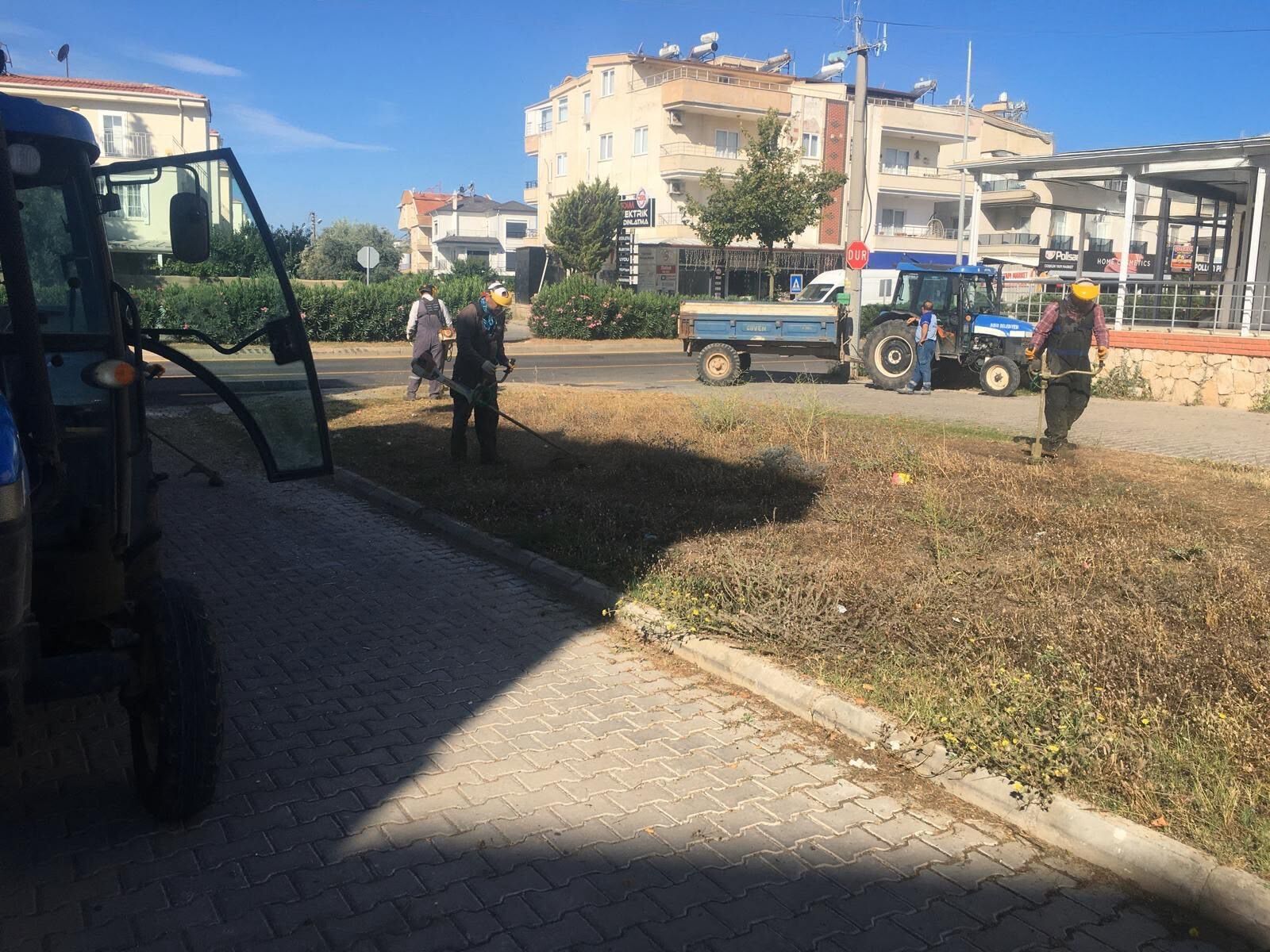 Didimde Yesil Alanlarda Bakim Calismasi Suruyor 672601 34Dd83