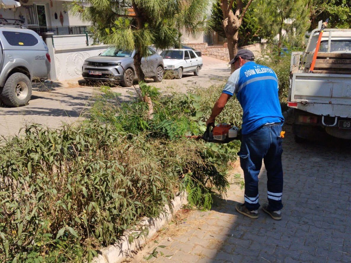 Didimde Yesil Alanlarda Bakim Calismasi Suruyor 672601 Be9A0B