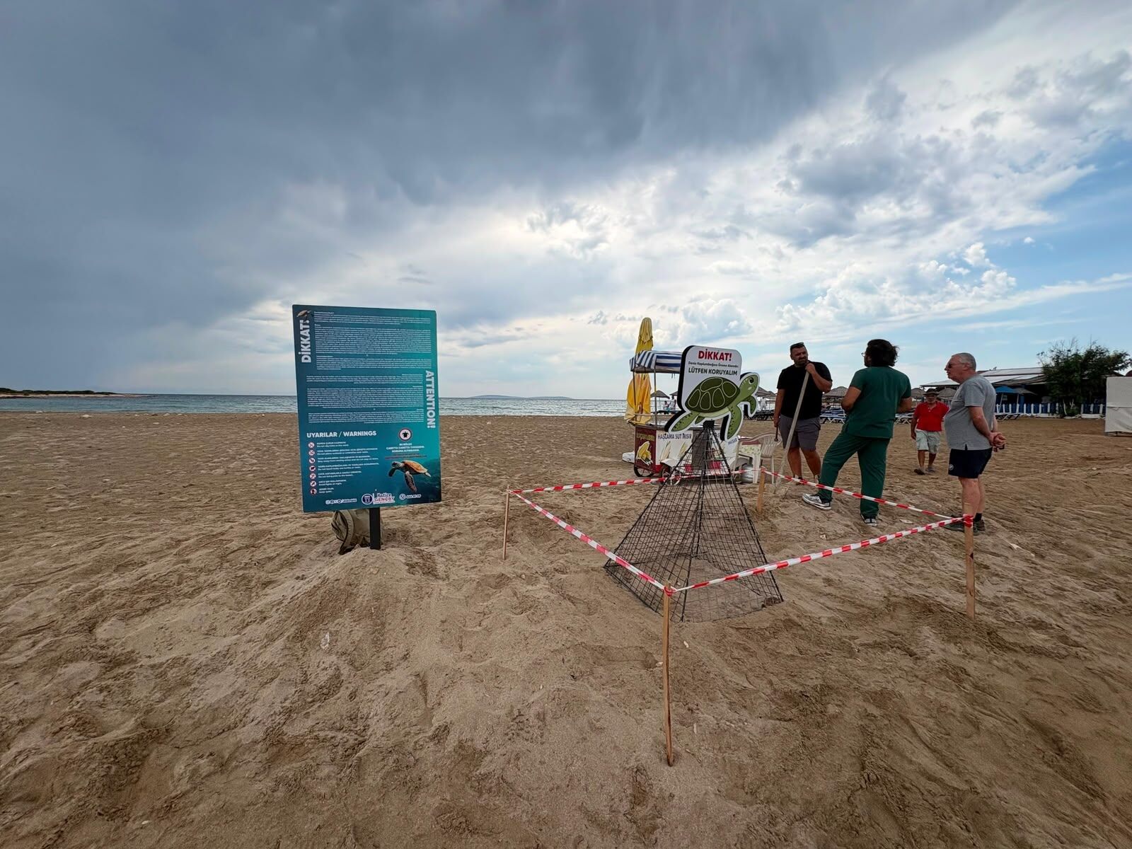 Didimde Zamaninda Mudahale Caretta Carettayi Kurtardi 673906 B49Ad6