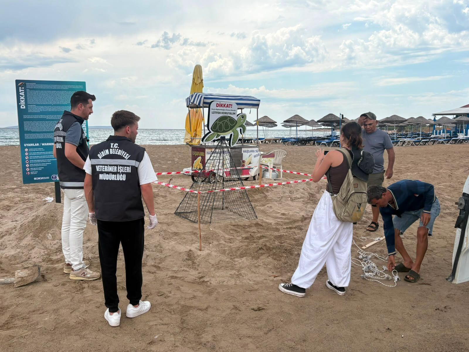 Didimde Zamaninda Mudahale Caretta Carettayi Kurtardi 673906 F2B239