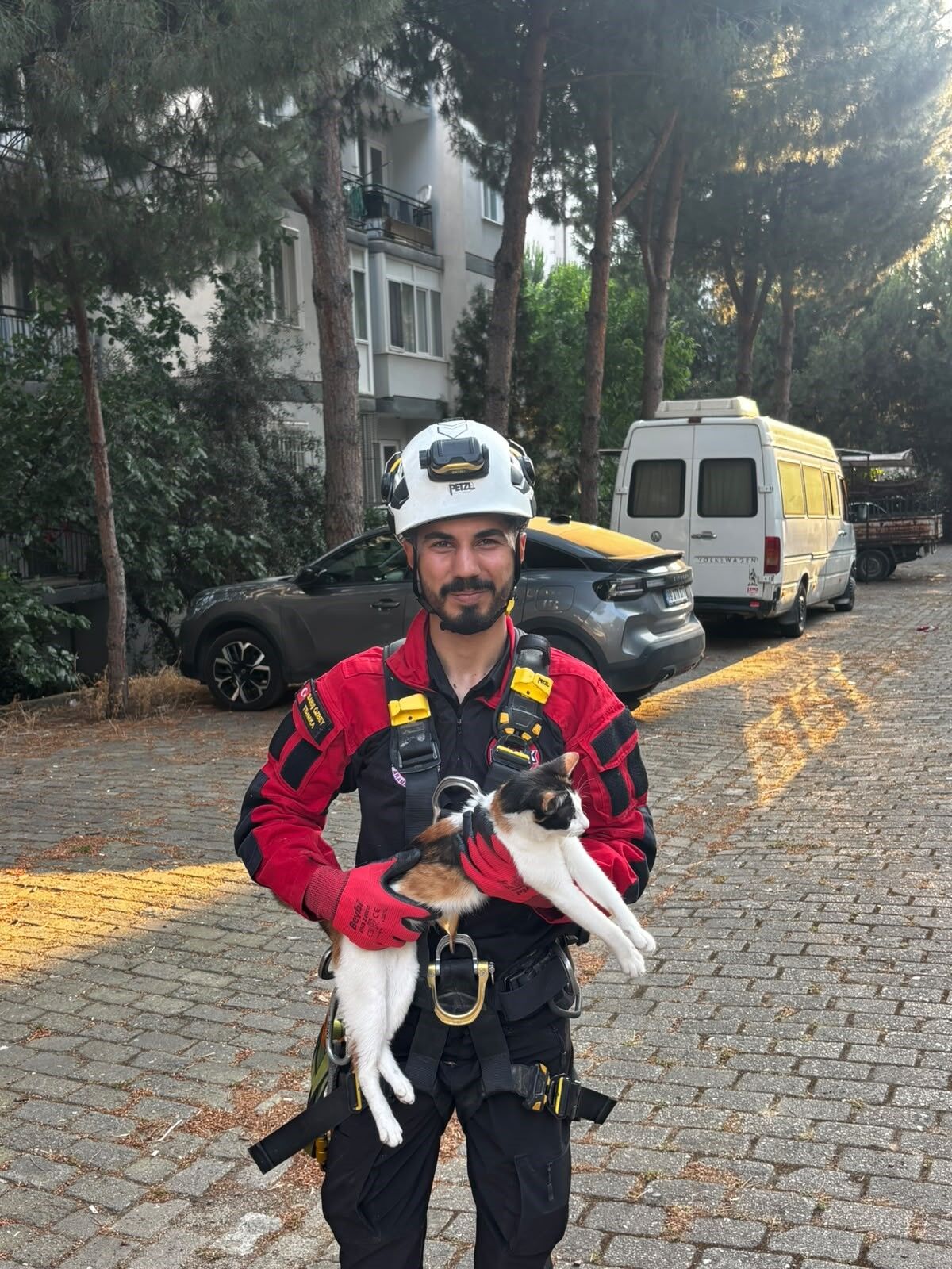 Efeler'de kedi mahsur kaldı: Ekipler harekete geçti