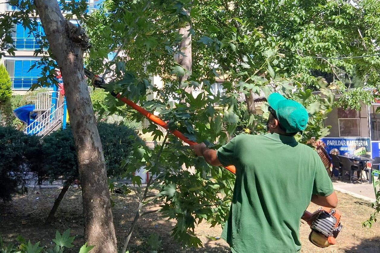 Efelerin Park Ve Yesil Alanlarinda Calisma Hem Estetik Hem G 667254 2F2146