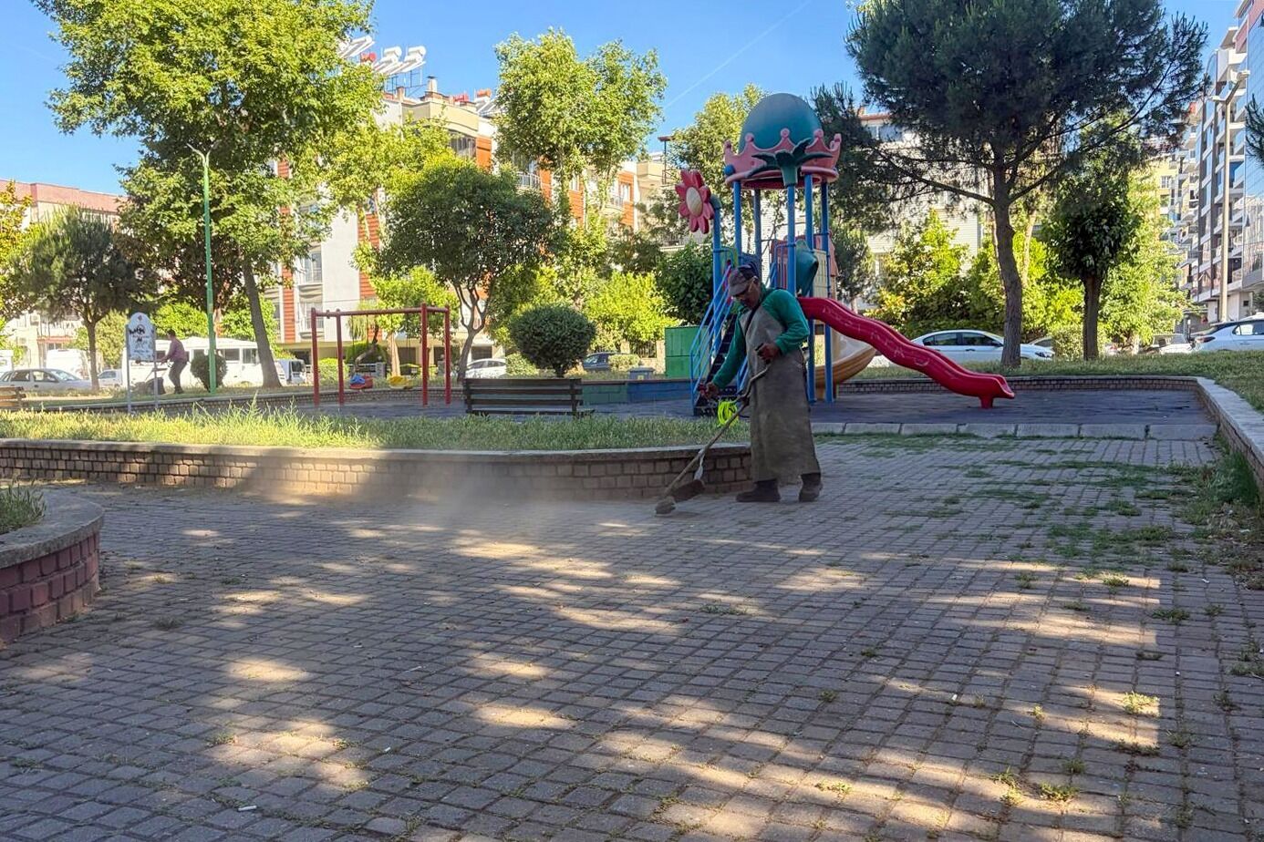Efelerin Park Ve Yesil Alanlarinda Calisma Hem Estetik Hem G 667254 6C98Af