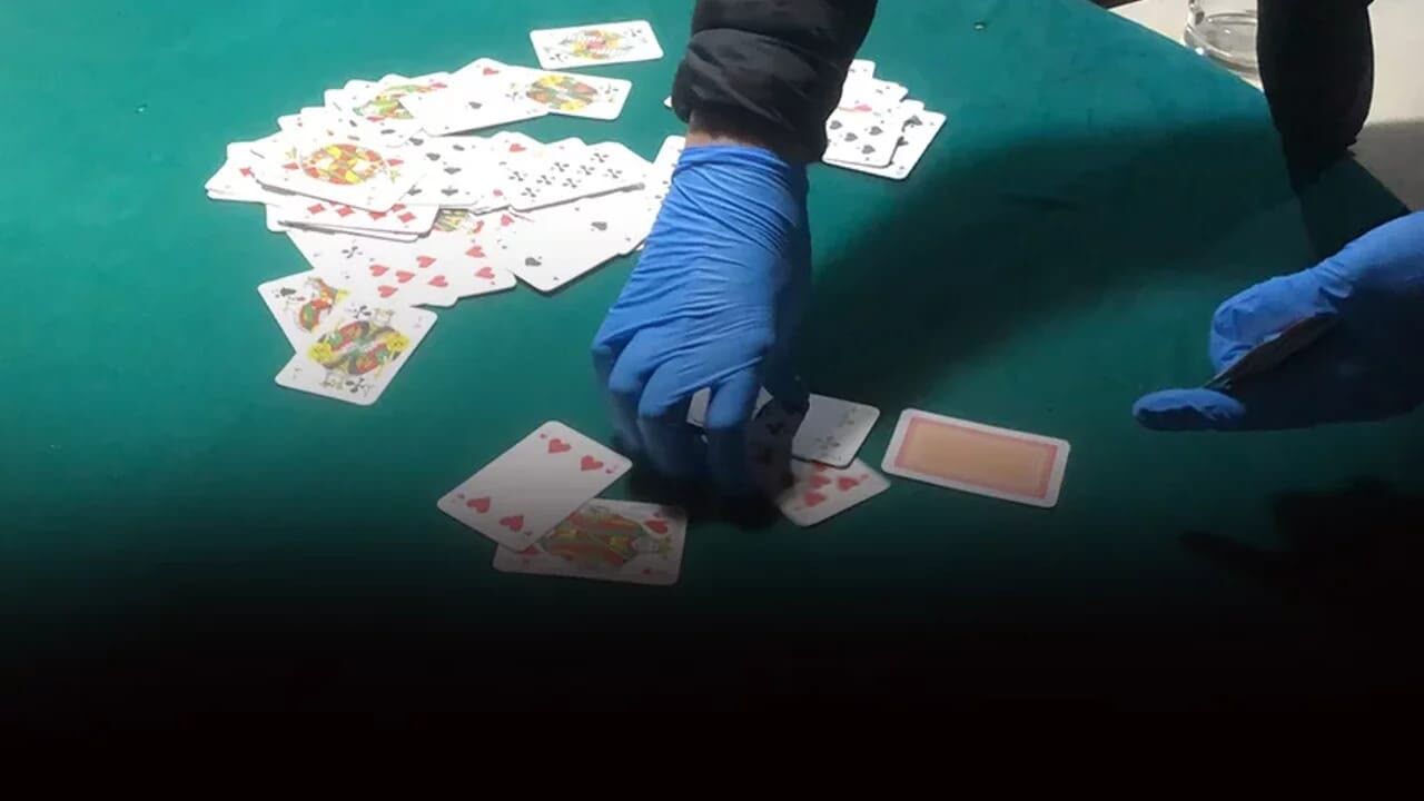 Kumar (2)