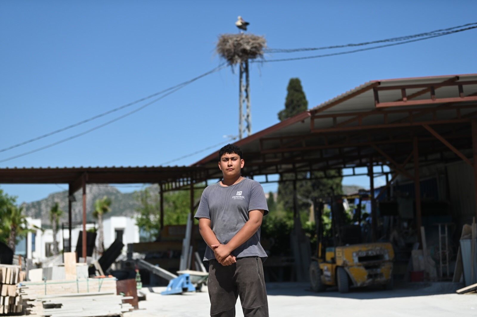 Leylek (1)