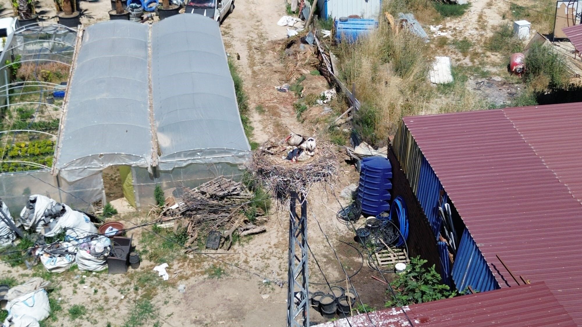 Leylek (2)