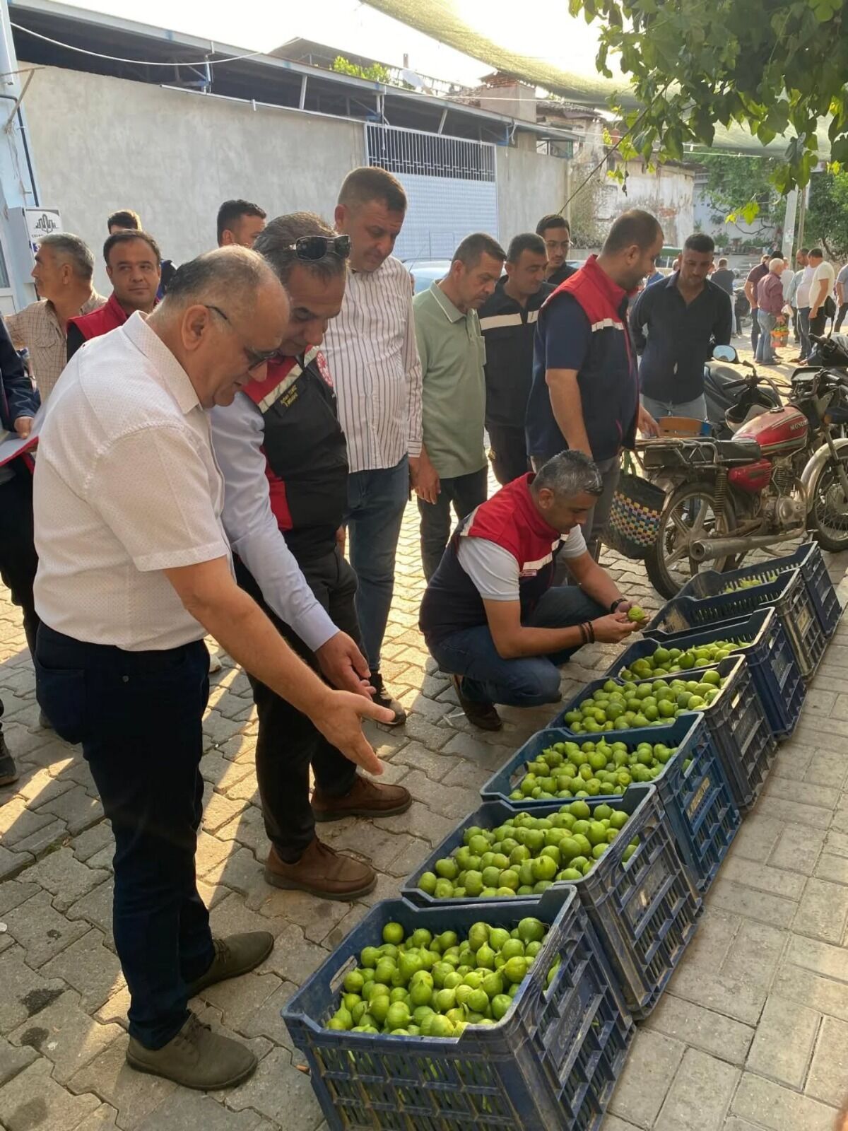 Lider değişmedi Aydın yine zirvede