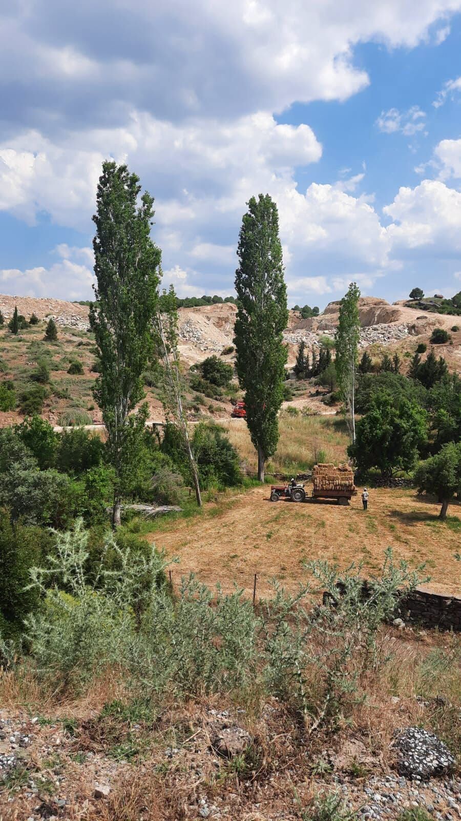 Maden (2)-1