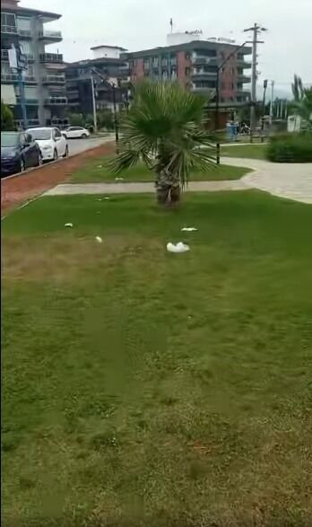 Parka Saldırı (2)