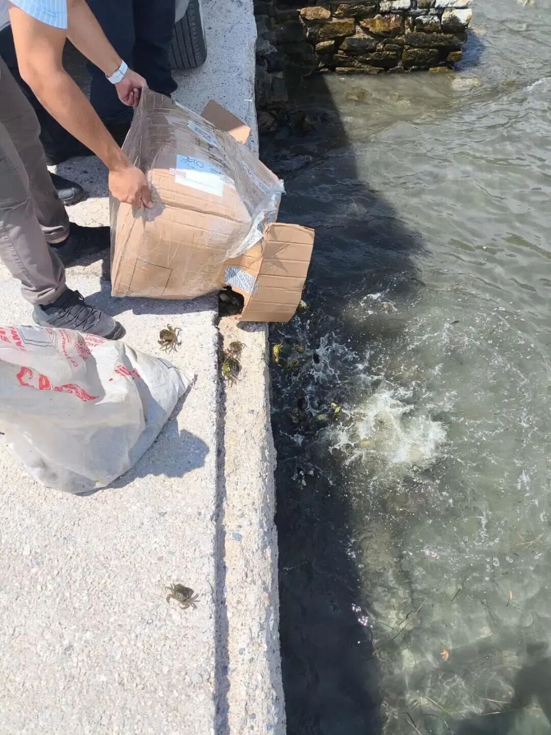 Söke'de kaçak su ürünleri nakline geçit verilmedi