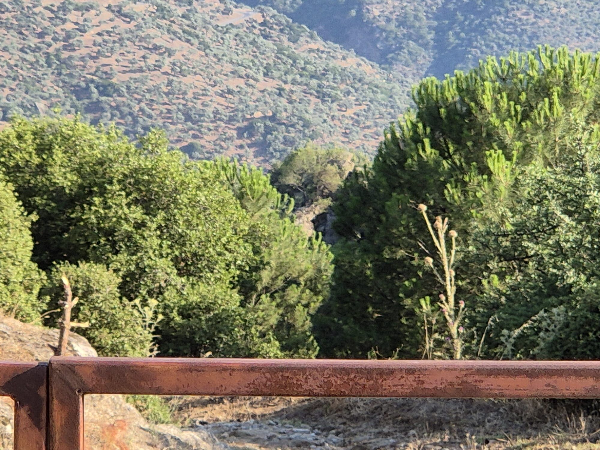 Söke’de Kül Deposu Mücadelesinde Yol Haritası Belirleniyor (4)