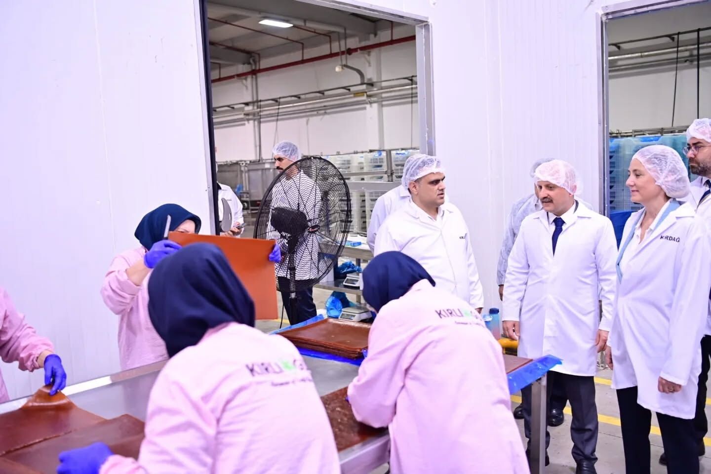 Vali Varol Aydın İnciri’ni Mercek Altına Aldı (3)