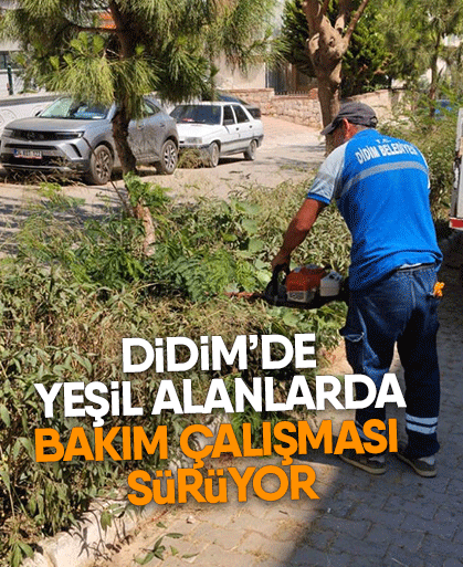 Didim’de yeşil alanlarda bakım çalışması sürüyor