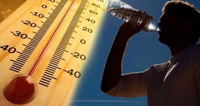 Aydın ‘Arabistan Sıcakları’ Ile Kavrulacak! Yangın Riskine Karşı Dikkat (2)