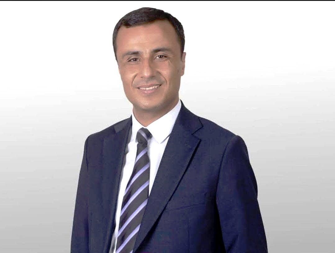 Aydın’da 15 yıl önce dikilen fidanlar artık kozalak veriyor Çorak araziden bereketli ormana