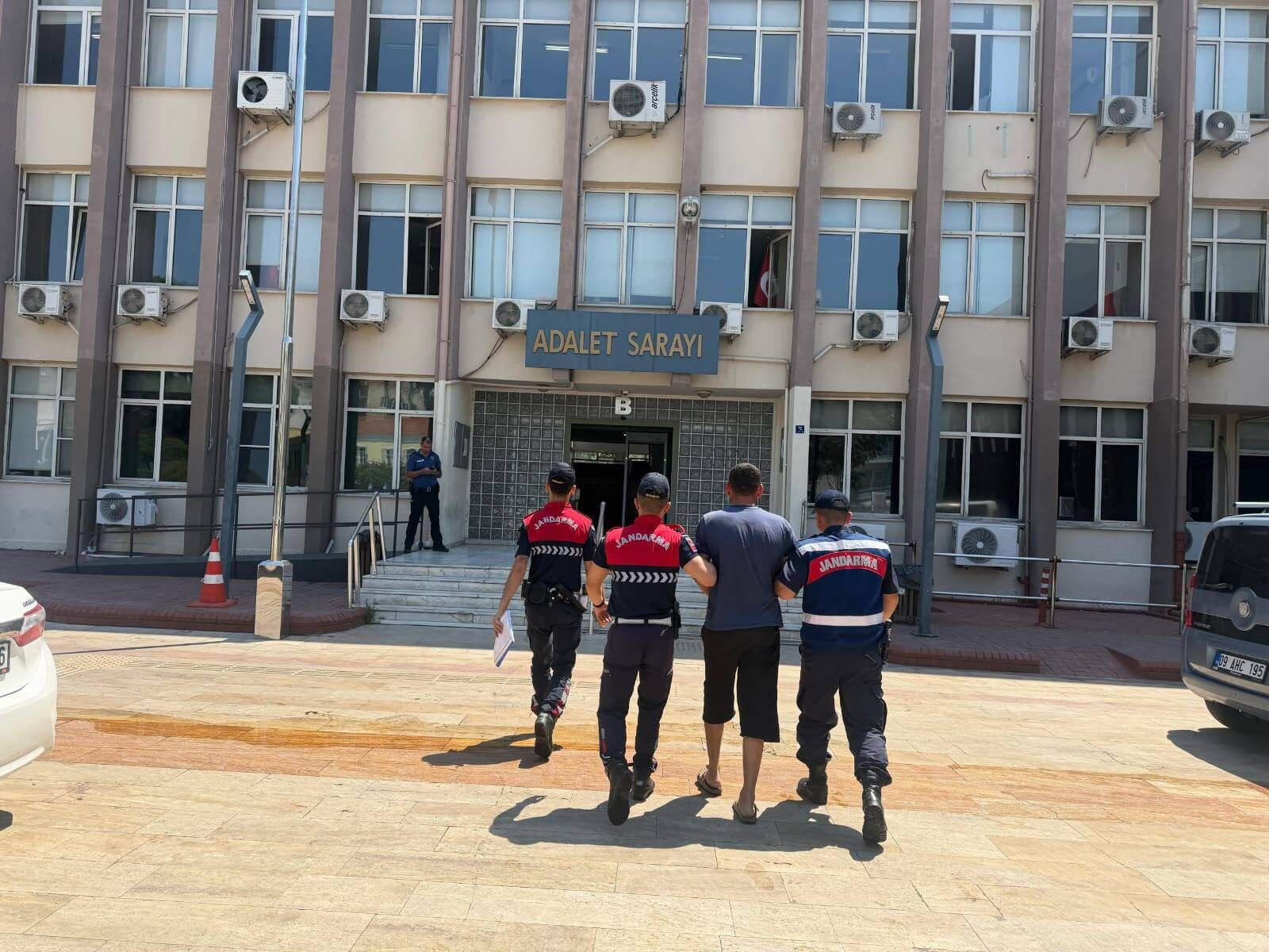 Aydın’da koyun hırsızına jandarma kıskacı