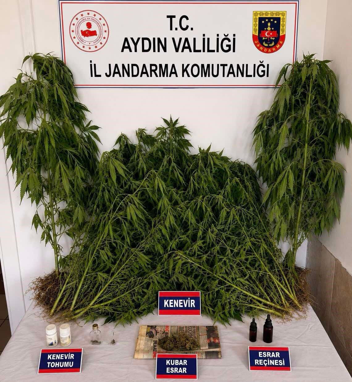 Aydın’da uyuşturucuyla mücadelede büyük oran!