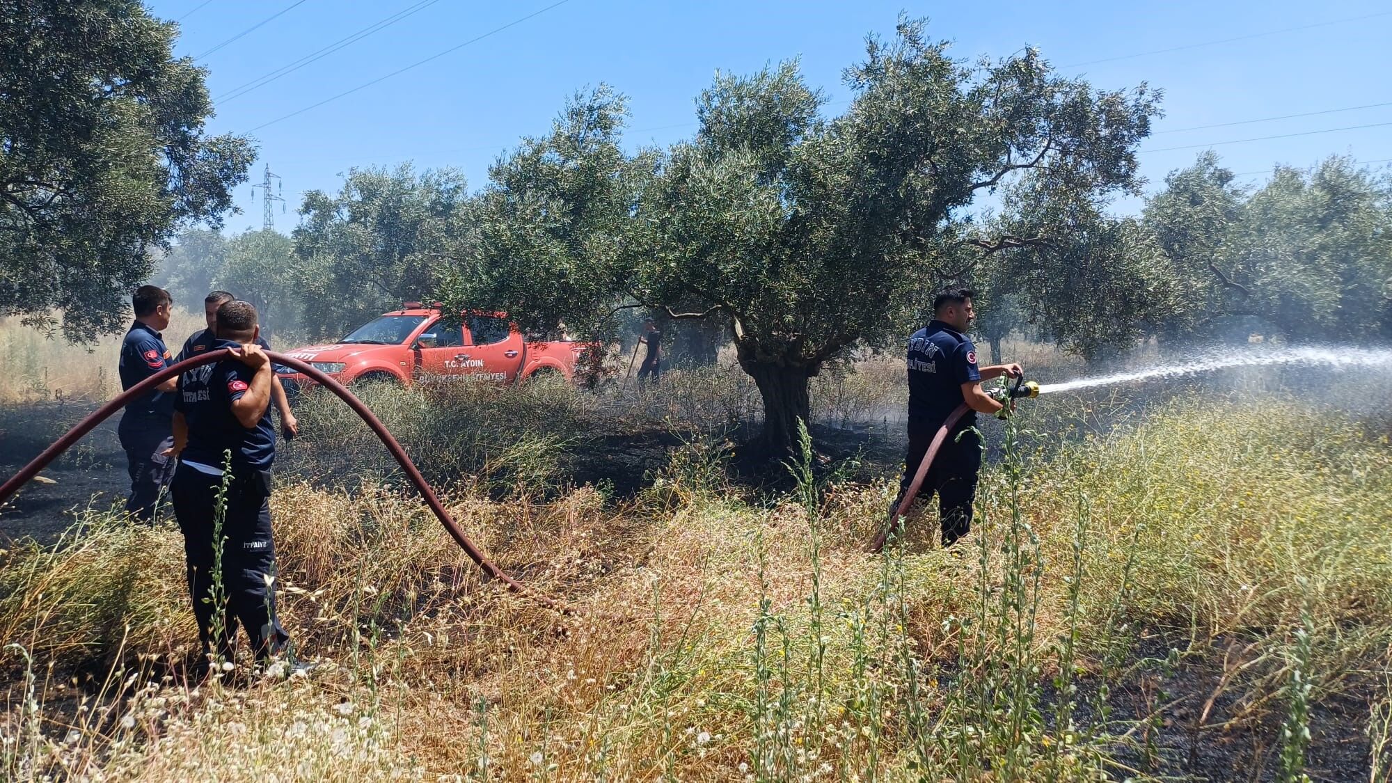 Aydın’da zeytinlik alanda yangın! Sabotaj iddiası ekipleri harekete geçirdi