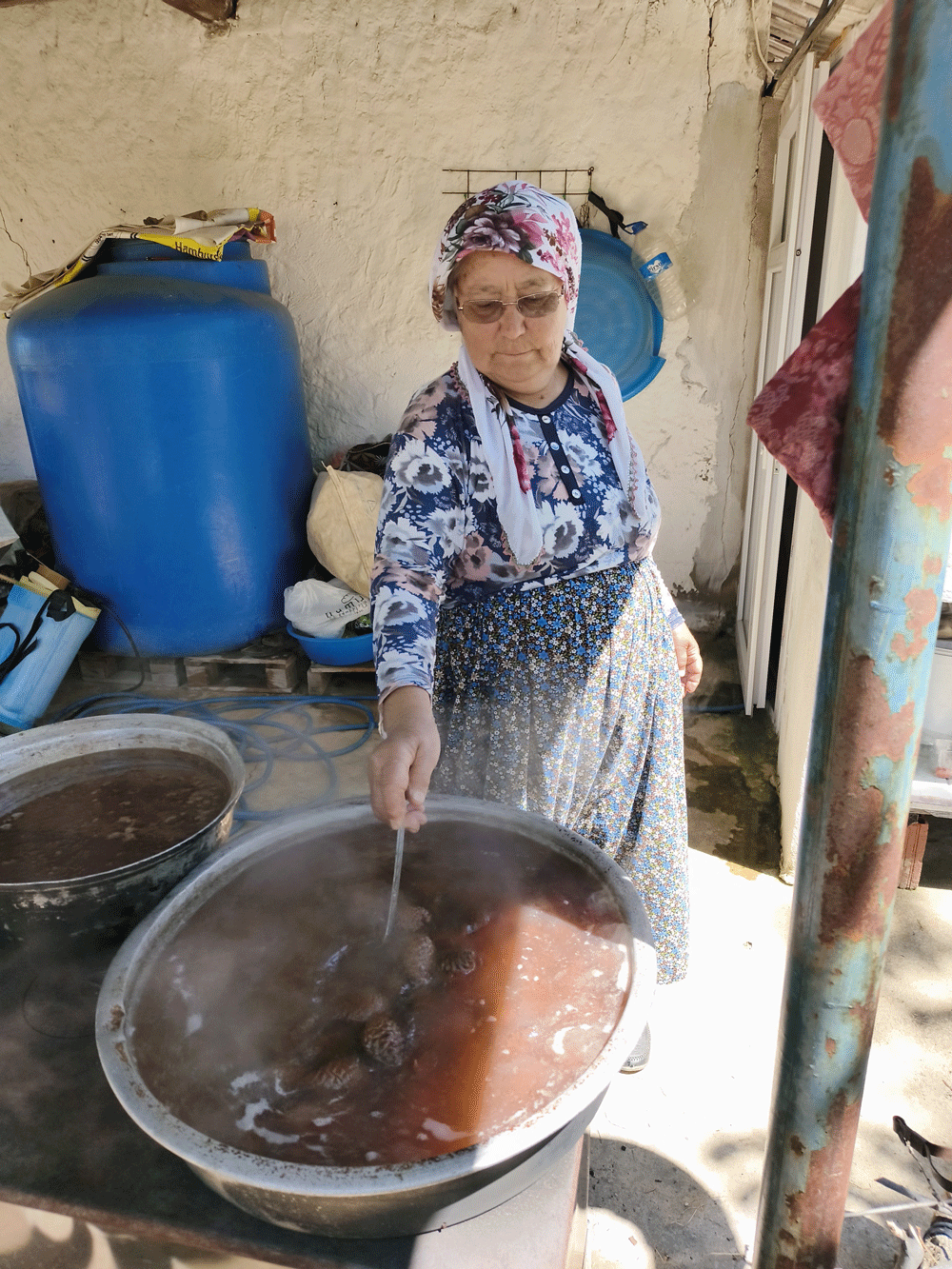 Aydın’daki yaylada asırlık gelenek
