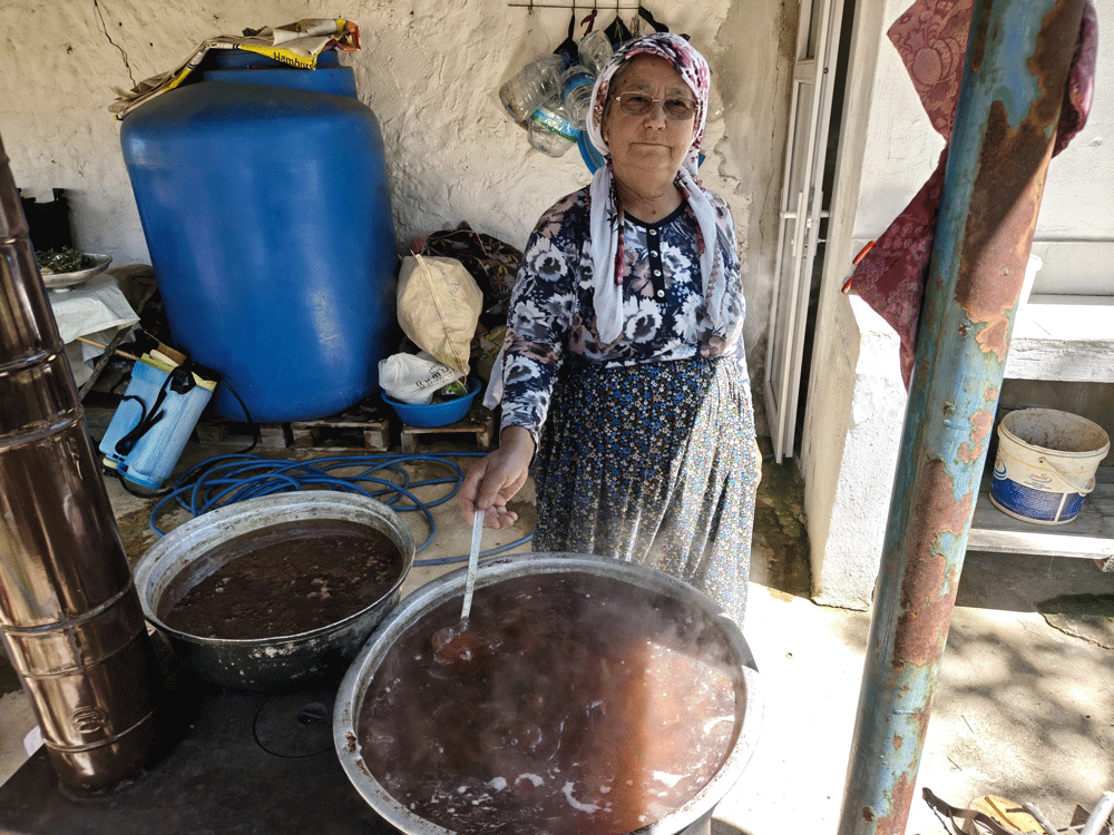 Aydın’daki yaylada asırlık gelenek